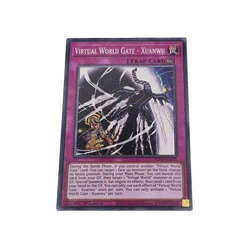 Virtual world gate - yu-gi-oh!,