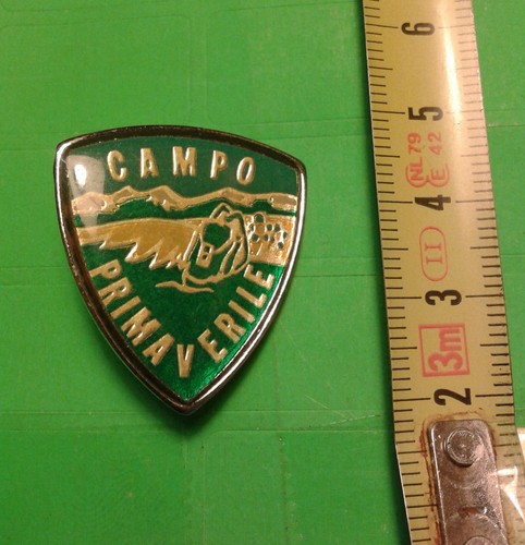 Spilla pins alpini campo - spilla,