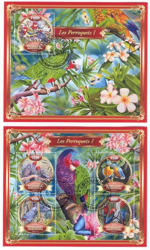 Lollini b51 madagascar 2022 - lollini,