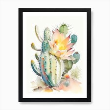 Chamaecereus Silvestrii libro