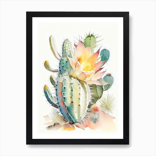 Chamaecereus silvestrii libro - silvestrii,