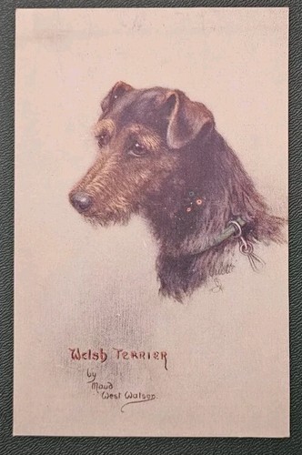 Cartolina illustrata cane - cartolina,