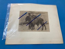 FOTO ALBUMINA PRIMI 900