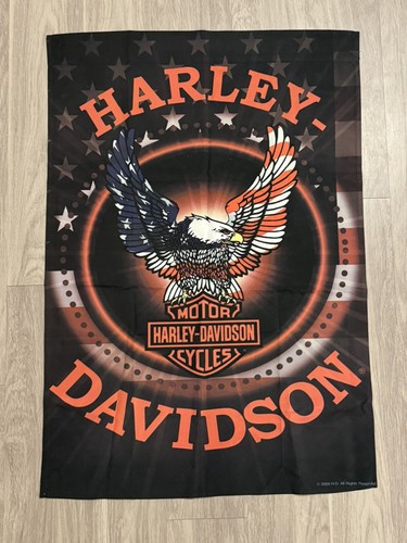 Harley davidson 2009 russ - harley,
