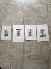 4  Stampe Di Pagine Di Antico