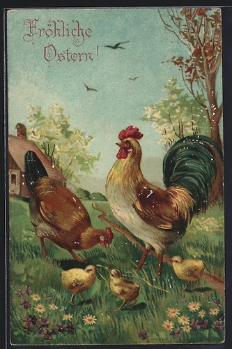 Cartolina goffrata gallo con