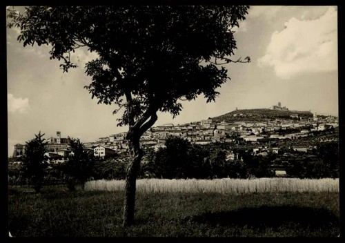 Cartolina italia assisi - cartolina,