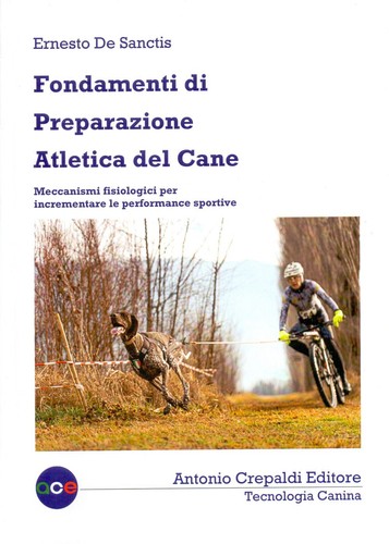 Libro nuovo de sanctis - libro,