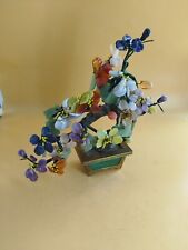 Alberello bonsai cinese