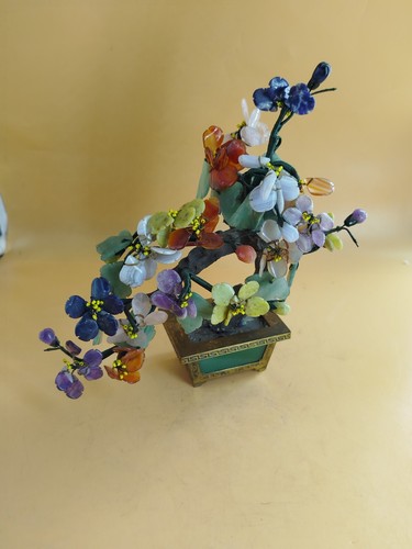 Alberello bonsai cinese