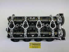 TESTA TESTATA PREPARATA