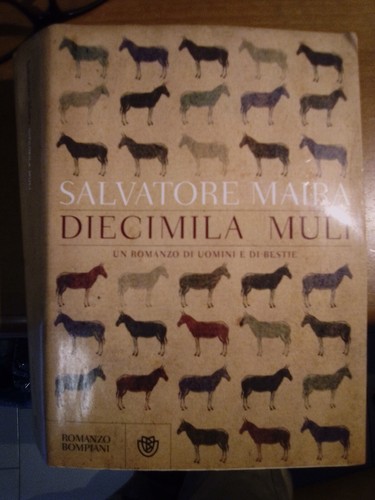Diecimila muli romanzo - romanzo, di
