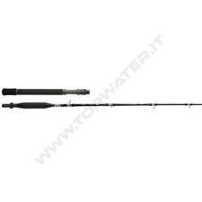 Shimano Tyrnos B Trolling Lite