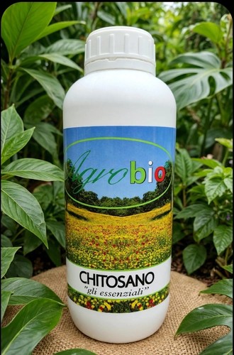Chitosano cloridato biologico - chitosano,