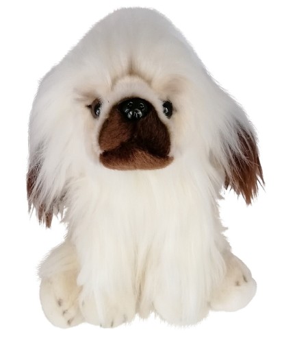 Pechinese bianco cane cucciolo - bianco,