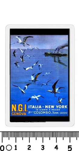 Calamita navigazione - calamita,