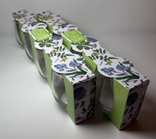 Portmeirion Botanic Garden