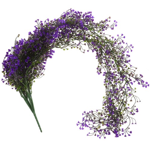 Decorazione lavanda piante - ,