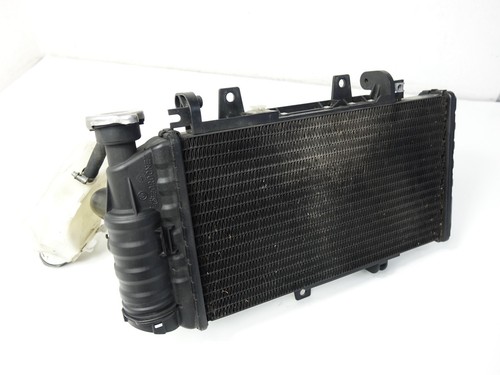 Radiatore bmw f800st - radiatore,