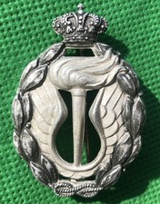 Distintivo regia aeronautica
