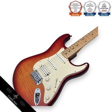 Chitarra elettrica superiore