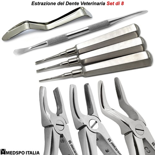 Strumenti dentali chirurgia - strumenti,