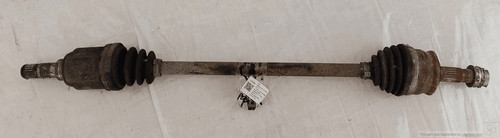 46308229 semialbero ant - semialbero,