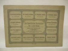 x-17645 Antica Ancora Giudice