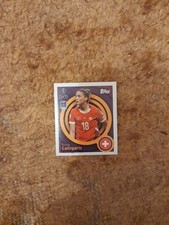 Adesivo ufficiale uefa - adesivo,