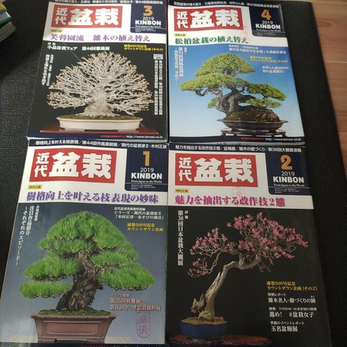 Modern bonsai jan apr 2019 - modern,