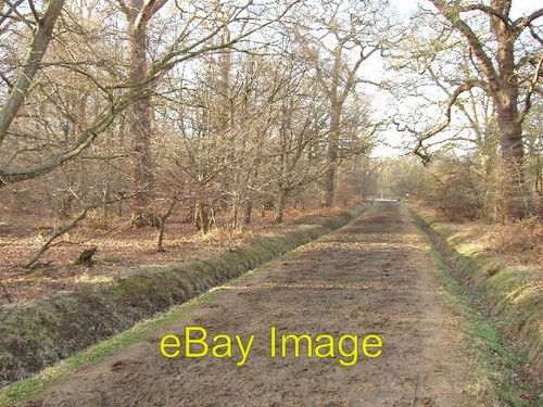 Photo 6x4 horse - 6x4, ride