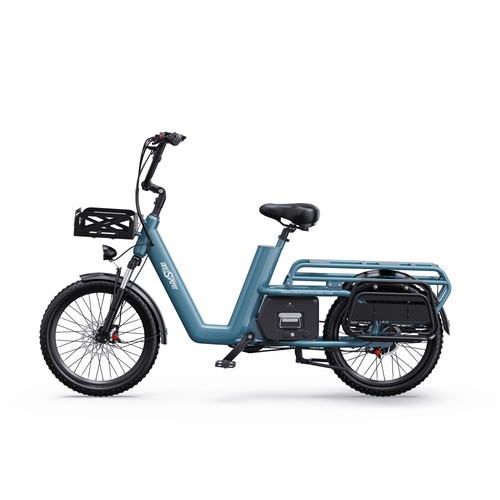Bici elettrica cargo fat bike - cargo,