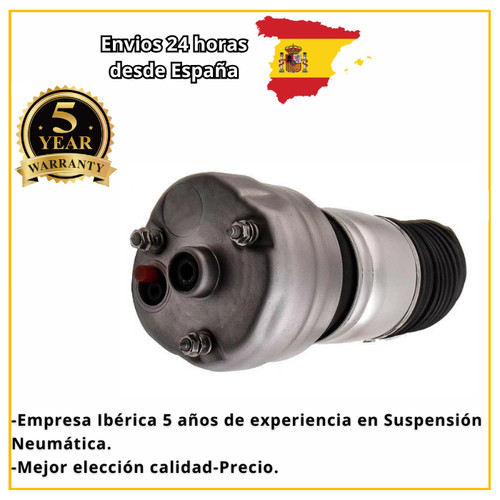 Balona suspensión delantera - suspensión,