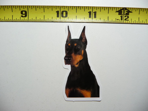 Adesivo loyal doberman - adesivo,