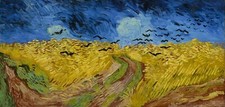Quadro Canvas Tela  - Vincent