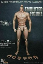 ZC Toys Modellino Maschio