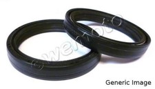 Coppia Guarnizioni Paraoli