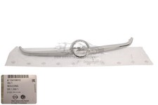 Modanatura griglia radiatore