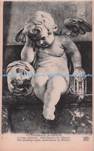 R706923 cathedrale amiens - r706923,