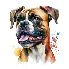 5 adesivi auto boxer tedesco 9