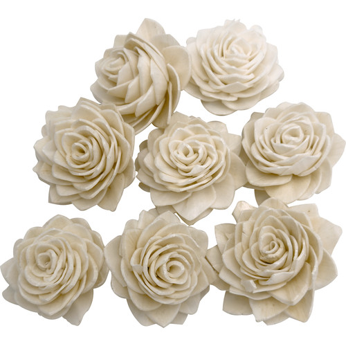 5176 sola shred lotus - lotus,