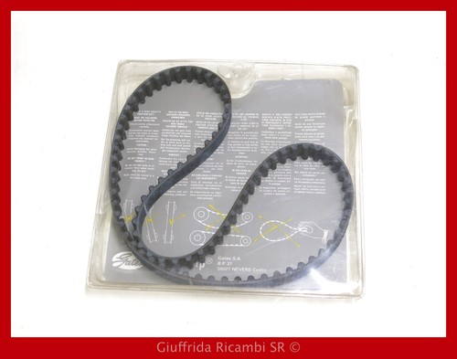 Cinghia dentata renault clio - dentata,