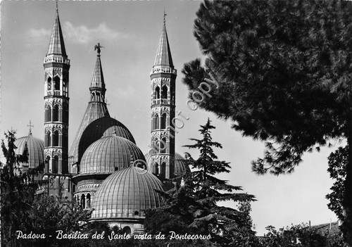 Cartolina postcard padova - -,