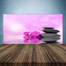 140x70 Paraschizzi in Vetro