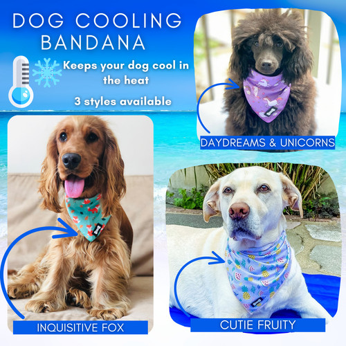 Dog cat cooling bandana - bandana,