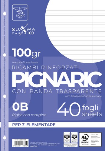 Fogli ricambi 100g con - ricambi, a4