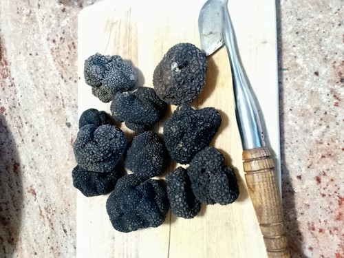 100 grammi tartufo nero fresco - 100,