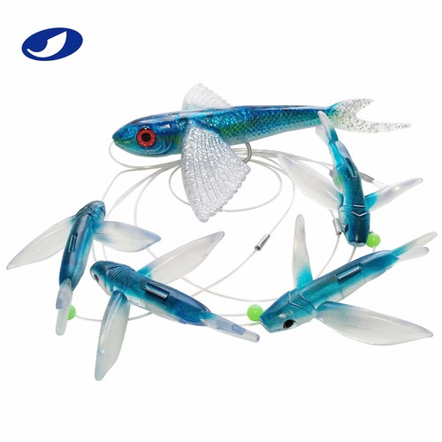 Ocean cat pesce volante pesca - ocean,