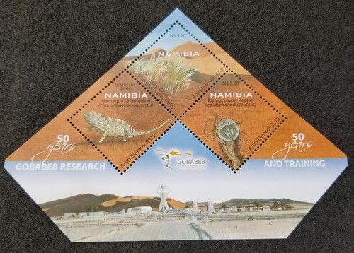 Namibia anni ricerca - namibia,