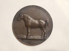 medaglia olandese recensione razze equine Brabante 1927 cavalli